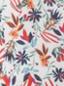 MOTIF B