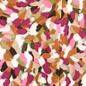 MOTIF C