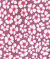 MOTIF 3
