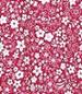 FRAMBOISE